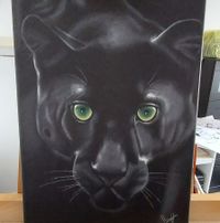 Zwarte panter